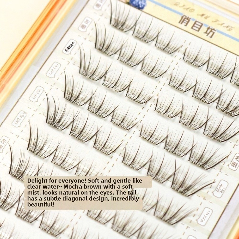 Mocha Brown Self Adhesive Fals - Eyelash Extension No 10 review and price