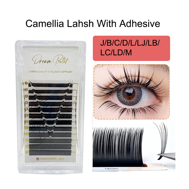 dream ballet Camellia Lashes w - Eyelash Extension Russian review and price