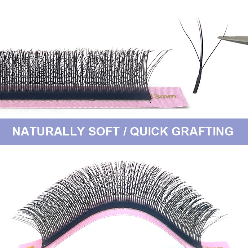 New Fairy 3D Thick W Shape Eas - Eyelash Extension Y Shape review and price