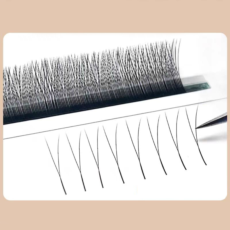 MARIA 2D Y Shape Eyelashes Han - Eyelash Extension Y Shape review and price