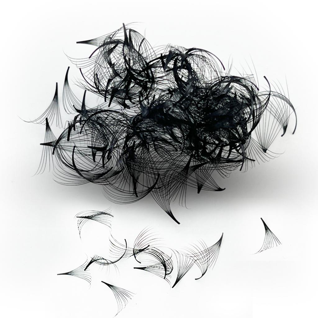 Tbestt Premade Fans Lashes 10D - Eyelash Extension Russian review and price
